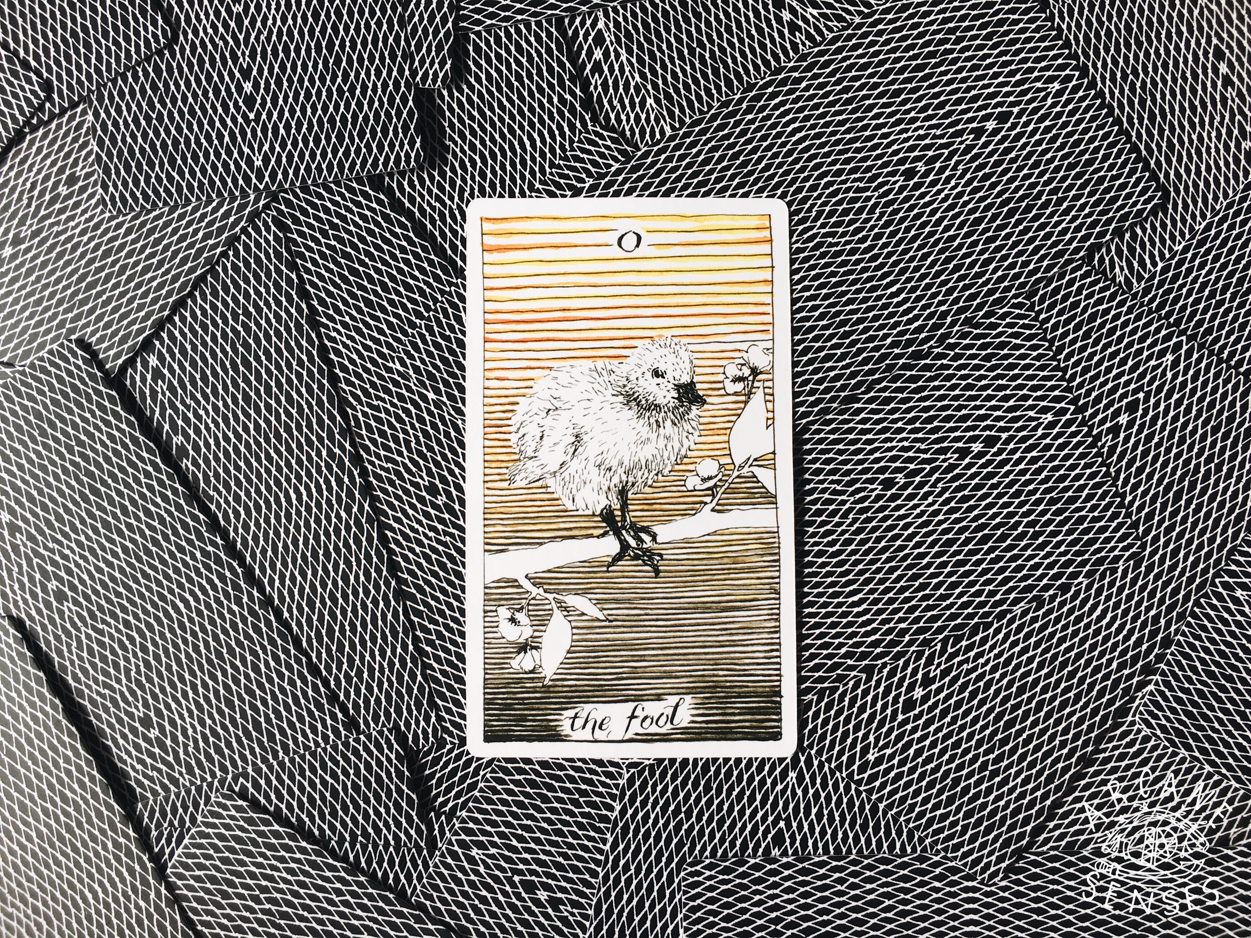 Processed with VSCO with a6 preset