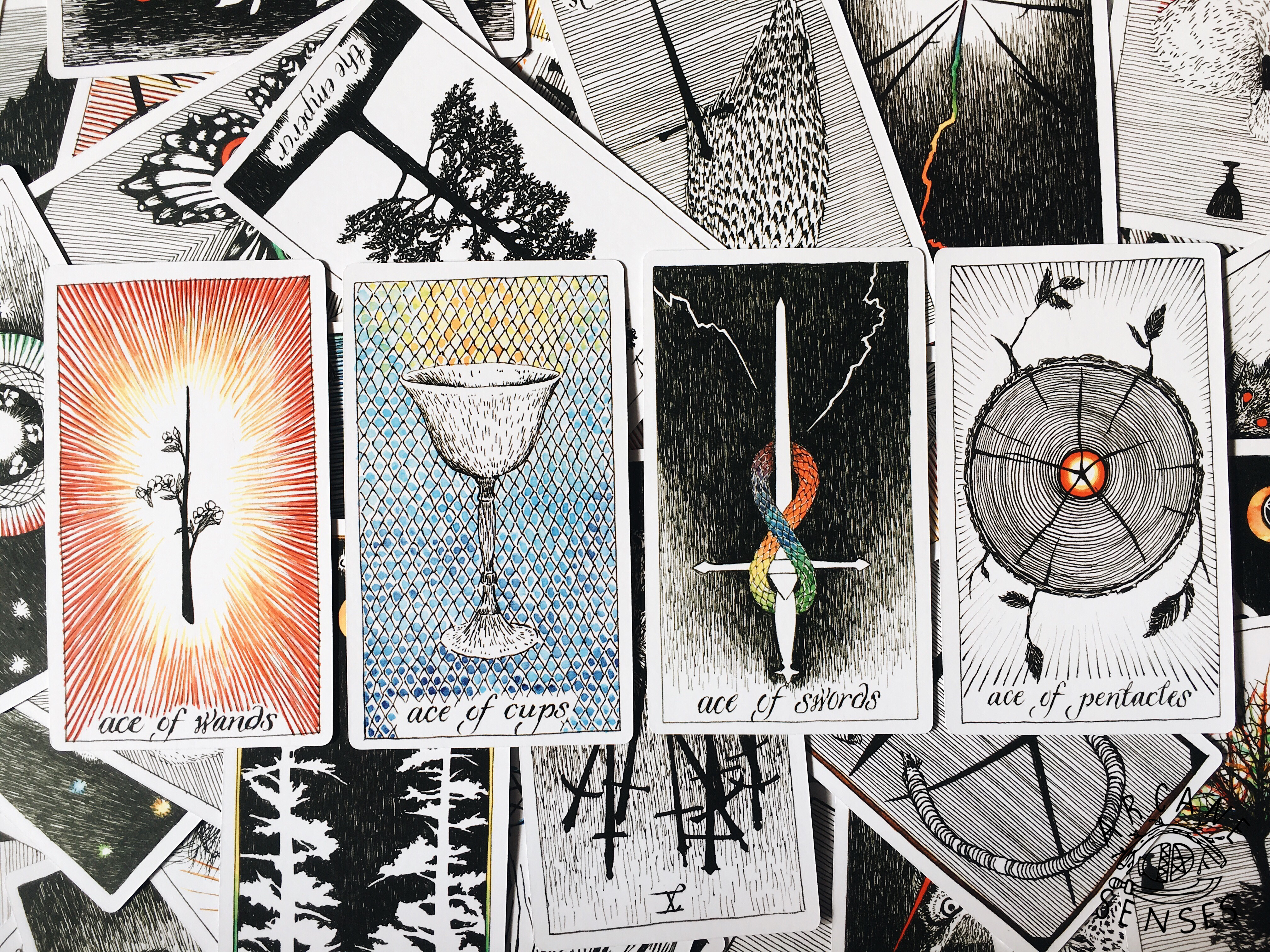 Processed with VSCO with a6 preset